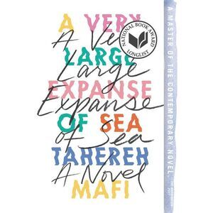 A Very Large Expanse of Sea -- Tahereh Mafi